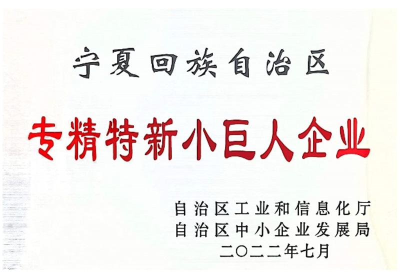 專(zhuān)精特新小巨人企業(yè)